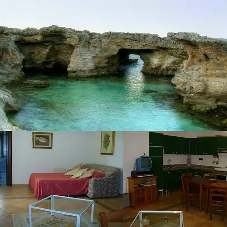 Salentiggiano Ulivi * Corsano (Apulia)