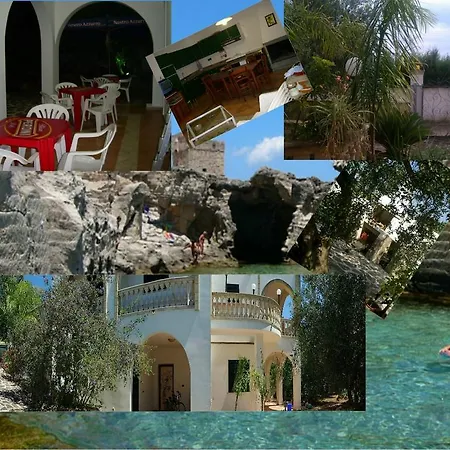 Salentiggiano Ulivi
