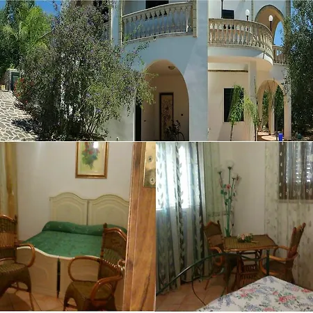 Salentiggiano Ulivi Corsano (Apulia)