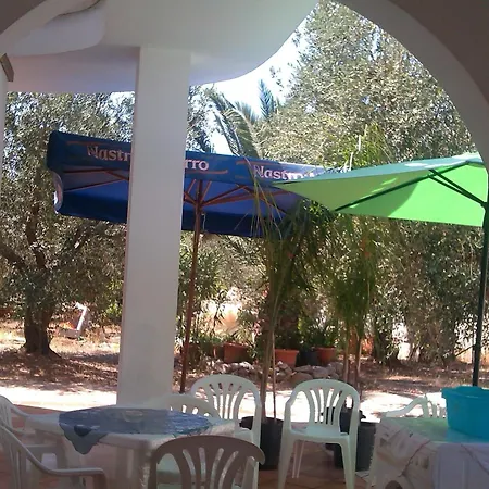 Salentiggiano Ulivi * Corsano (Apulia)