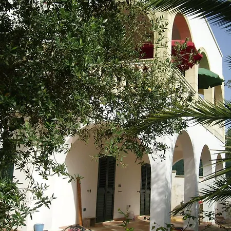 Salentiggiano Ulivi *